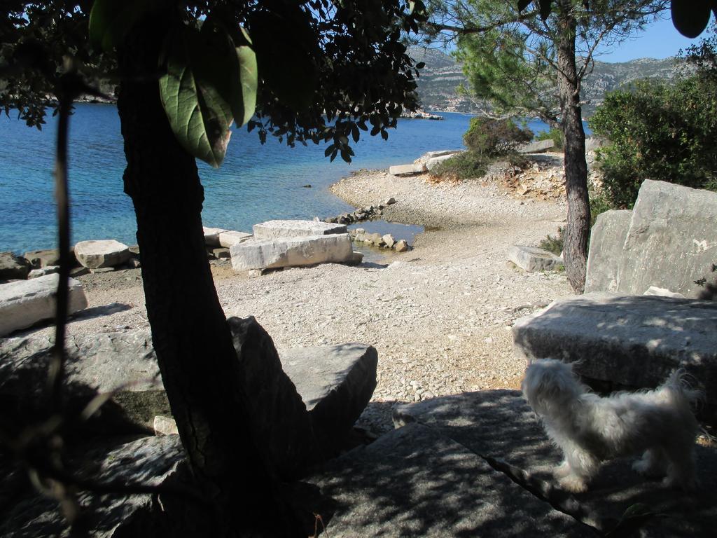 Relax Tiny Villas 40 Meters Of The Beach Zrnovo Экстерьер фото